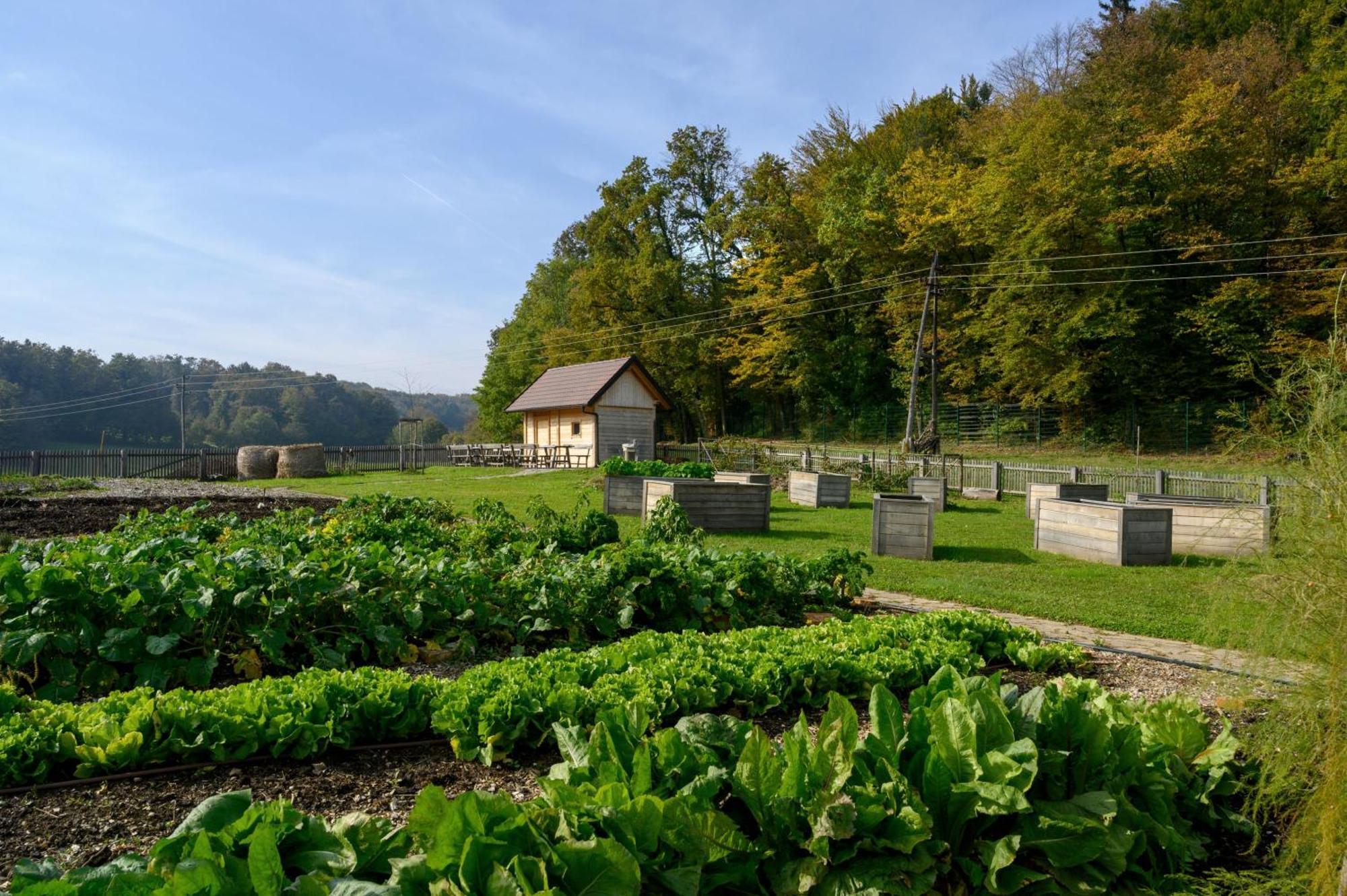 Hotel Grad Otocec - Relais Chateaux Bagian luar foto